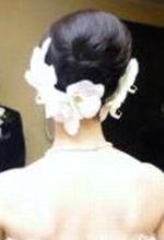 胡蝶蘭髪の毛