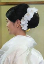 白無垢シニヨンヘア蘭生花