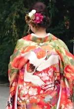 色打掛け鶴の柄